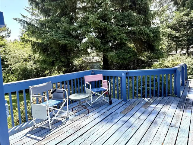 Big deck overlooking the gorgeous front yard