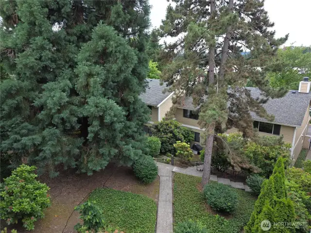 View from your deck. Nice and peaceful