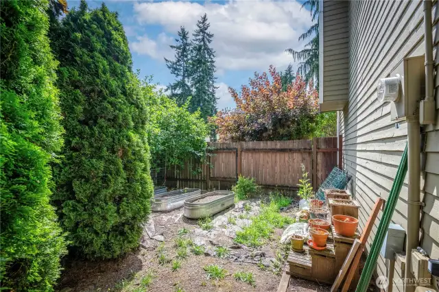 Garden area with raised garden beds
