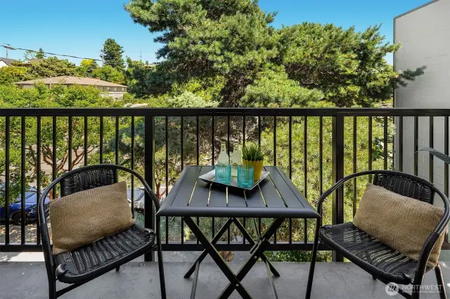 There's a treehouse vibe with this mature evergreen tree - urban living with some privacy!