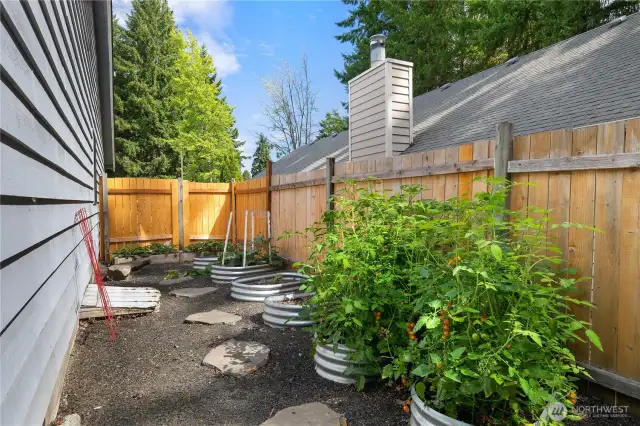 Raised Garden beds on side yard