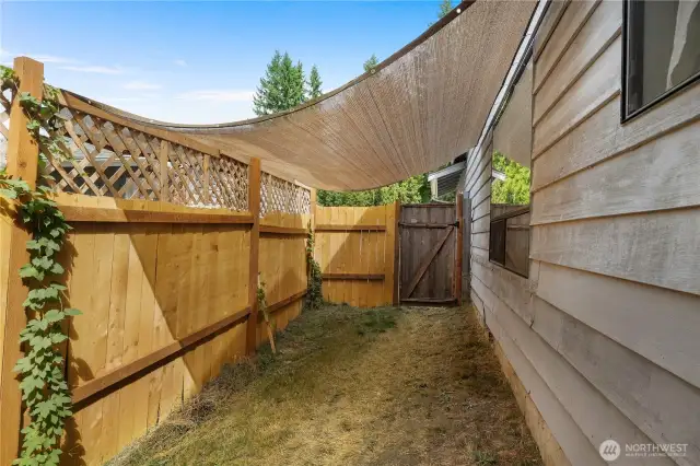 Other Side Yard