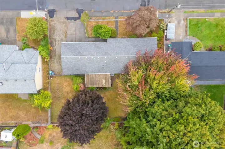 Aerial view of the lot. The SHOP is under the trees on the lower right of this photo.