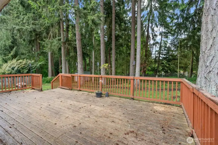 Peaceful area to relax