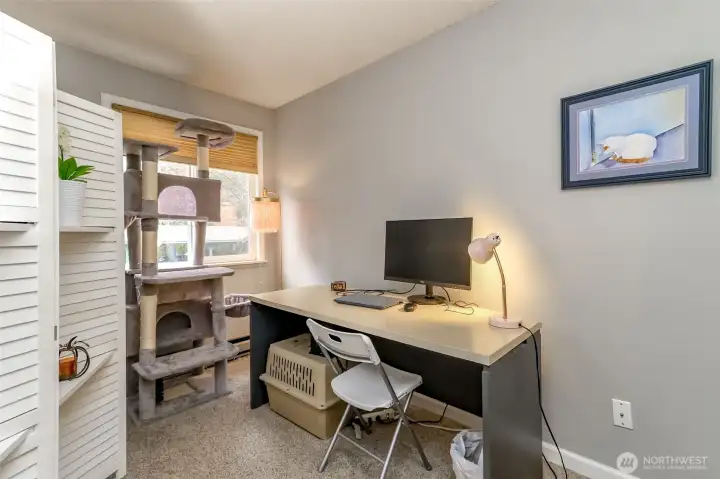 Flexible second bedroom perfect for a home office or guest room, featuring natural light and space for a desk setup.