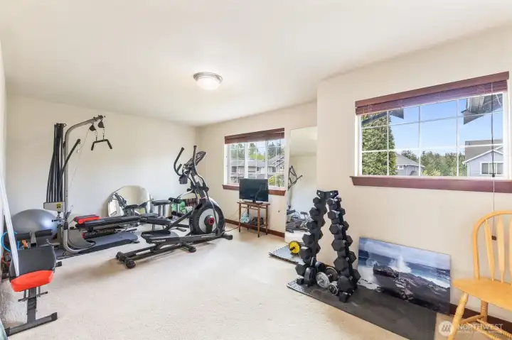 Large Bonus Room