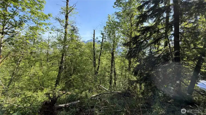 View of Mt Si