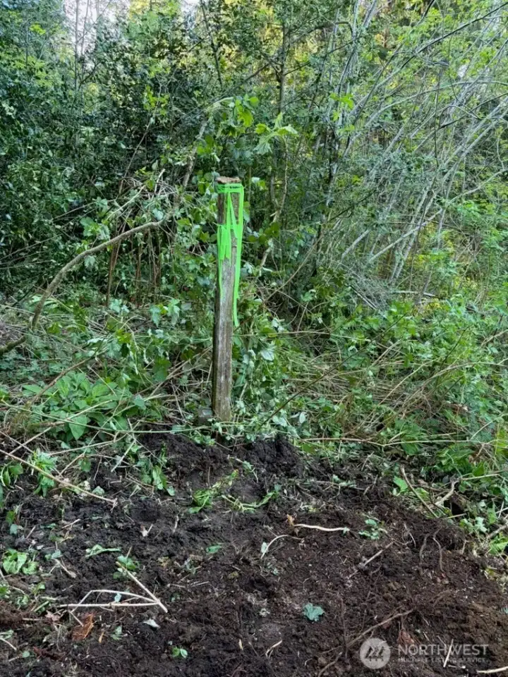Property Stake next to the property pin
