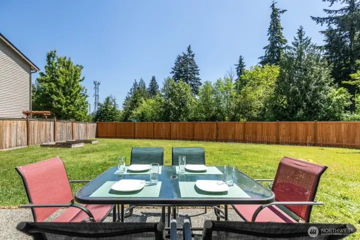 Back Yard Patio