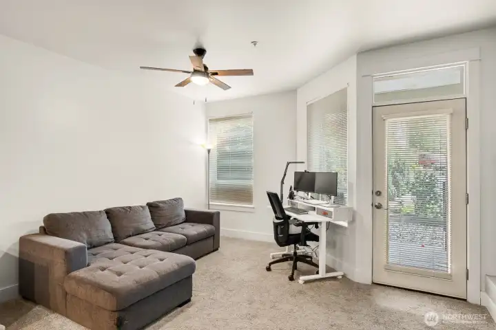 Living room, tons of natural light