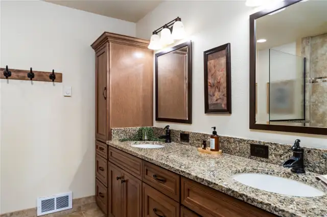 Primary Bedroom bath with updated shower and counter tops.