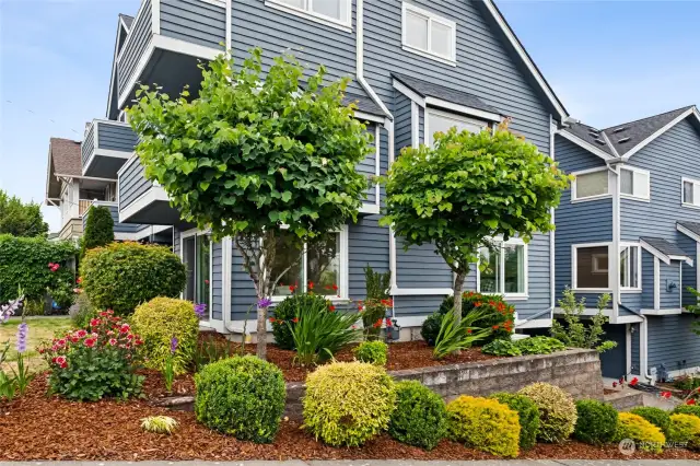 Beautiful mature landscaping with drip system.