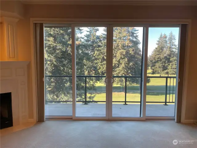 Sliding Glass Door View 2