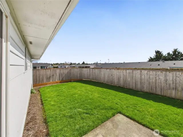 Back yard