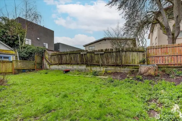 Back Yard