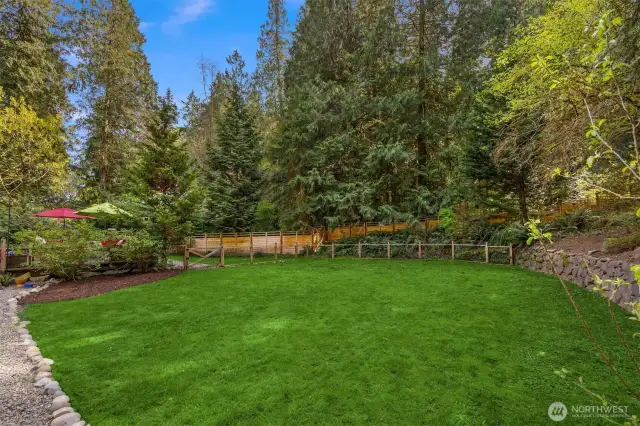 A look at the level back yard.