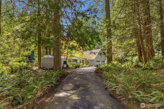 The driveway is lined with soaring evergreens and ferns, all natural NW landscaping. Welcome home! Additional parking for cars close to the home as well as camper or boat parking on site.