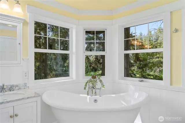 Soaking tub w/ a view