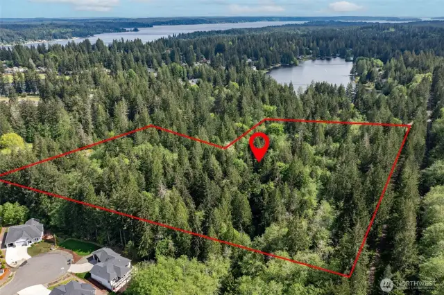 Property Lines are Approximant.