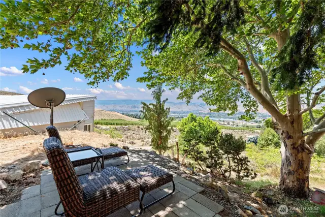 upper backyard view point