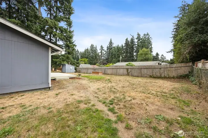 This yard is truly so big!