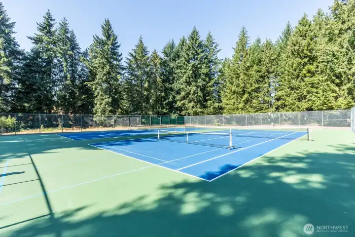 Tennis/pickleball courts