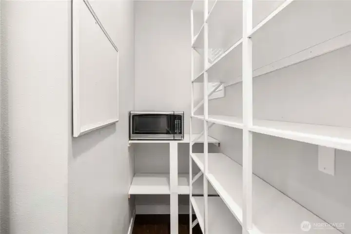 Walk in pantry with electrical for appliance storage and usage