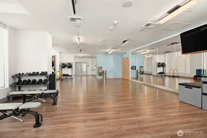 Movement  Studio