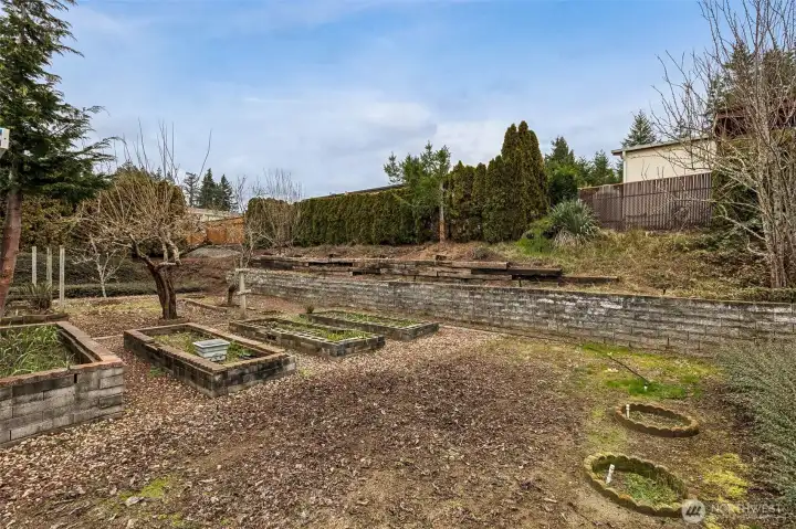 Backyard with Garden Space