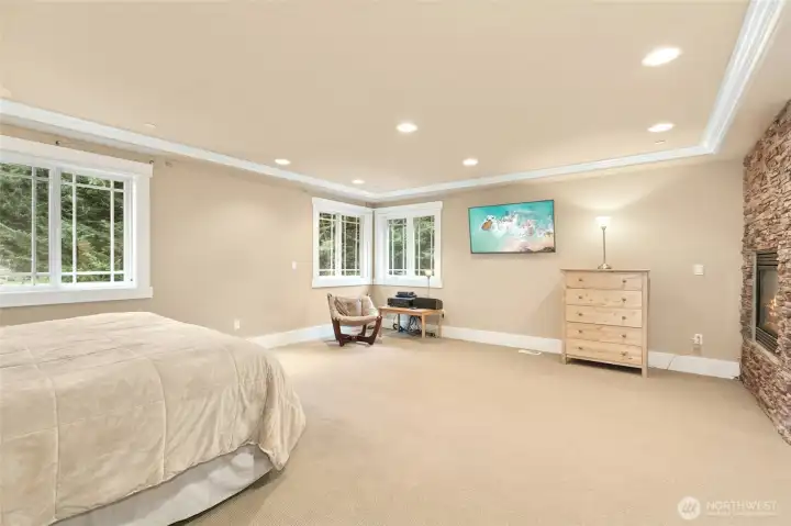 Luxurious primary suite highlighted by an elegant fireplace.