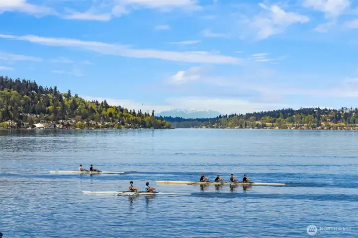 Watch rowers glide by.