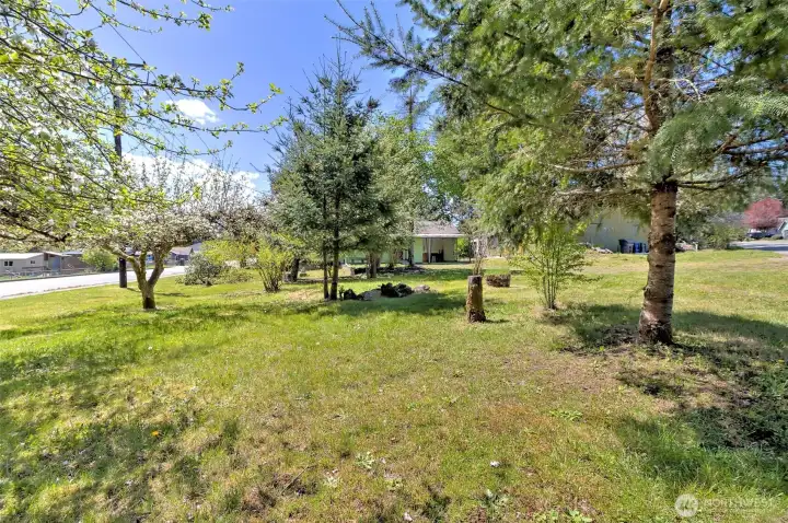 Spacious, nearly one-third acre lot—ideal for gardening, barbecuing, or outdoor play.