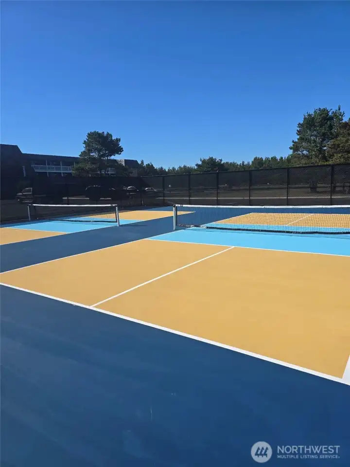 Pickleball anysone?