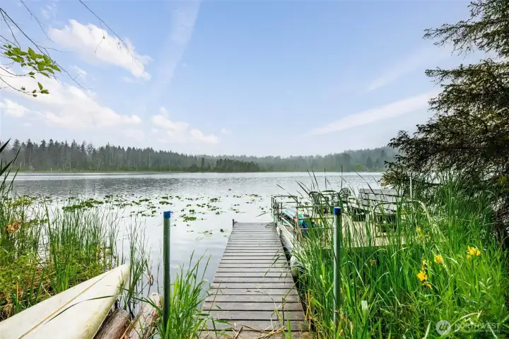 Private dock and pontoon boat on Spring Lake! Private dock and pontoon boat on Spring Lake!