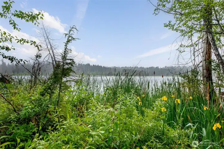 Lush green setting! Lush green setting!
