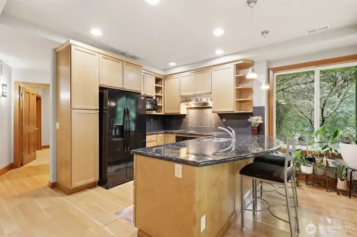 A complete second kitchen downstairs for guests, in-laws, nanny...think multigenerational, complete guest space or possibly income producing potential. A complete second kitchen downstairs for guests, in-laws, nanny...think multigenerational, complete guest space or possibly income producing potential.