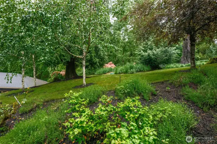 Lush landscaping with sprinkler system. Lush landscaping with sprinkler system.