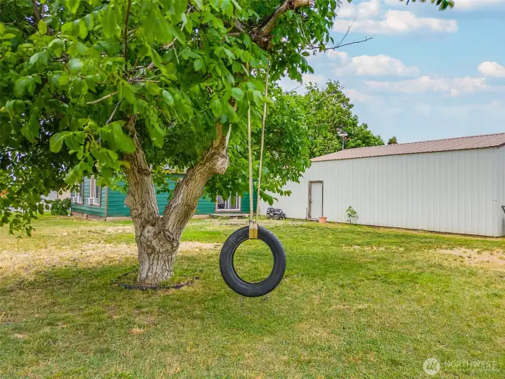 Huge yard room to play, entertain & expandwith tire swing & trampoline.