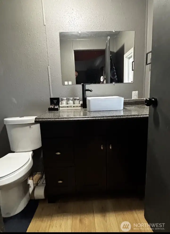 Master bath desinger sink