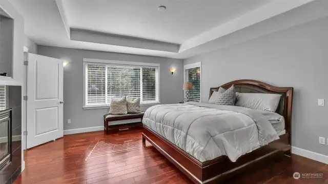 Large upstairs master suite features french door entry, gas fireplace, tray ceilings and large windows.