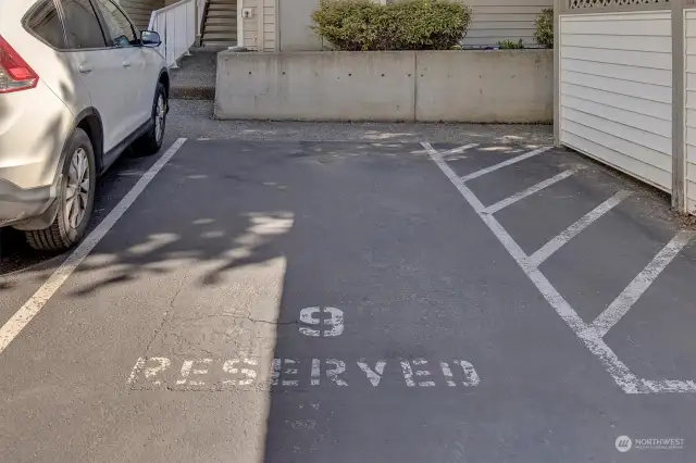 Your parking space.  Yes, it's the best one on the street.  :-)
