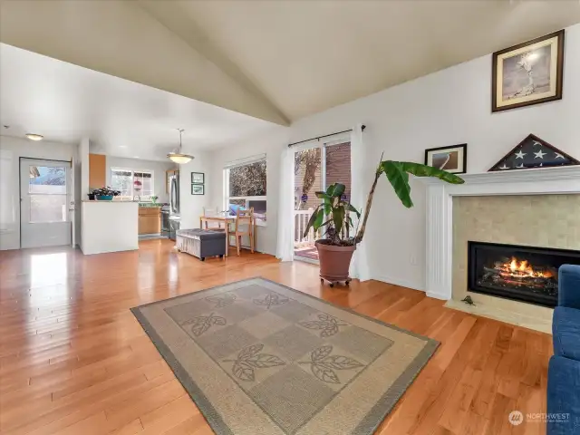 Vaulted ceiling living room