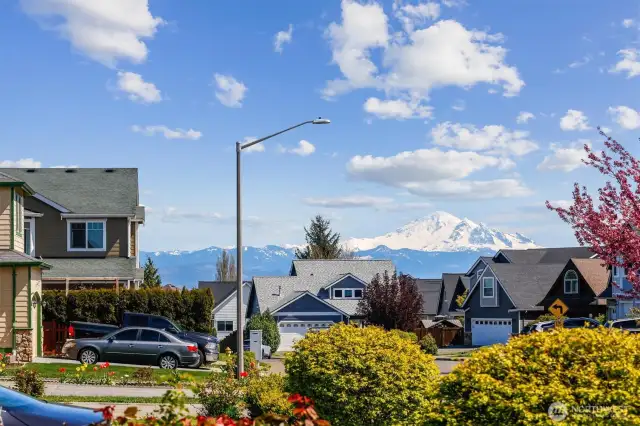 View of Mount Baker