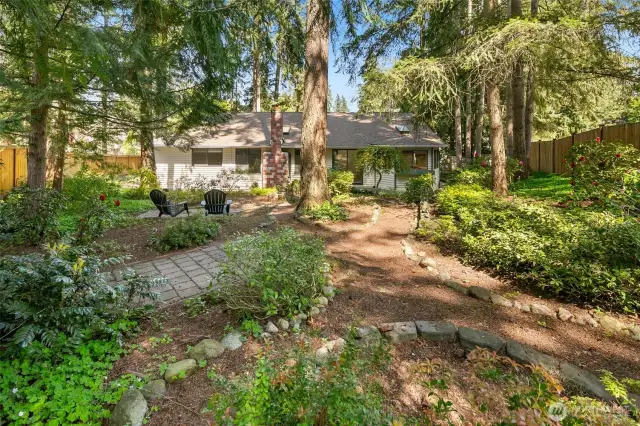 Looking back from large backyard