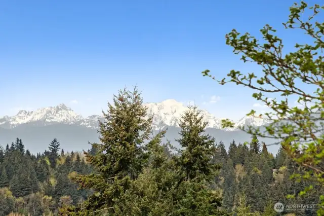 Mountain views from the unit