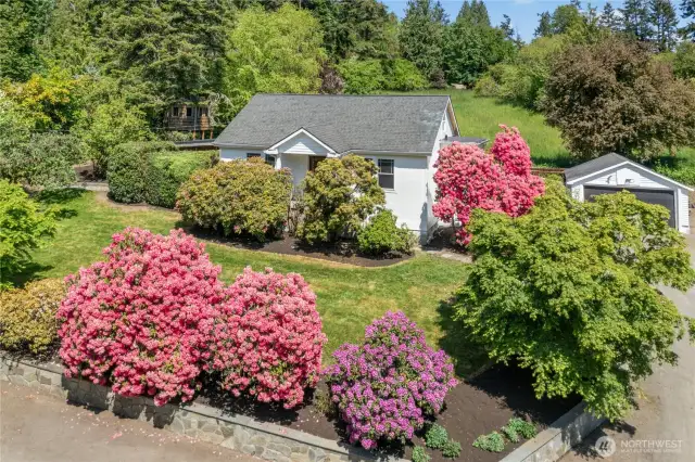 Welcome to 9850 Pine Street, a charming cottage in the historic Eagledale neighborhood.