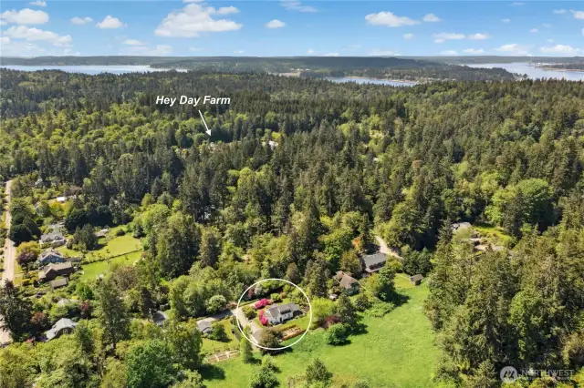 Enjoy special events and dinners at Hey Day Farm!