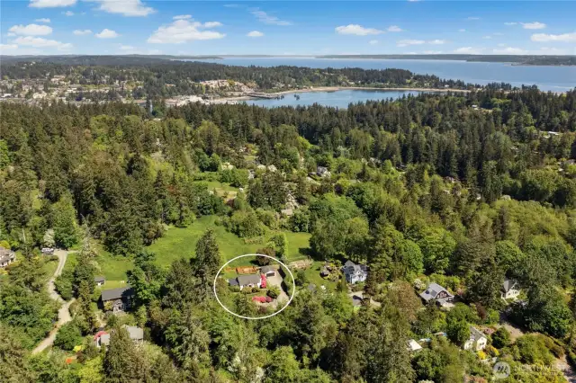 A little piece of paradise on Bainbridge Island!