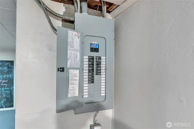 Newer Electrical Panel