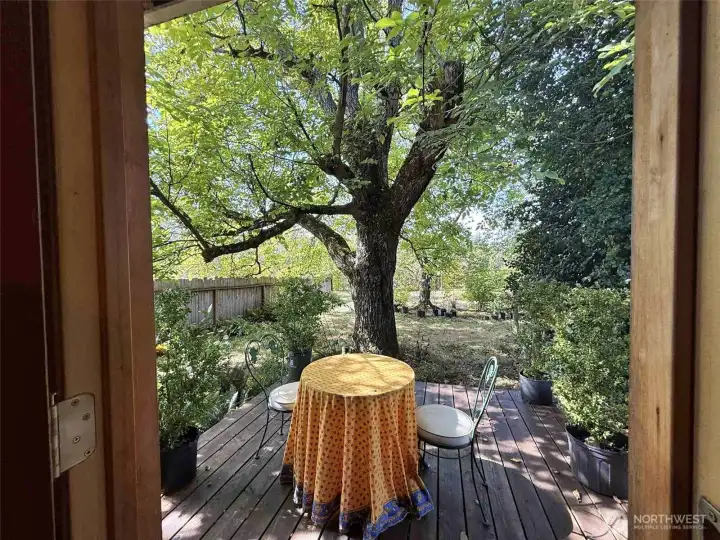Hidden garden of main bedroom, so cozy!